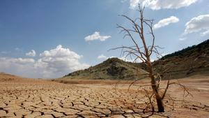 Paraje desértico en la provincia de Valencia por la sequía