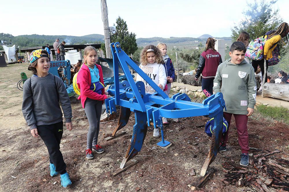 Los colegios de Sant Antoni inauguraron ayer esta fiesta al aire libre que continúa todo el fin de semana.