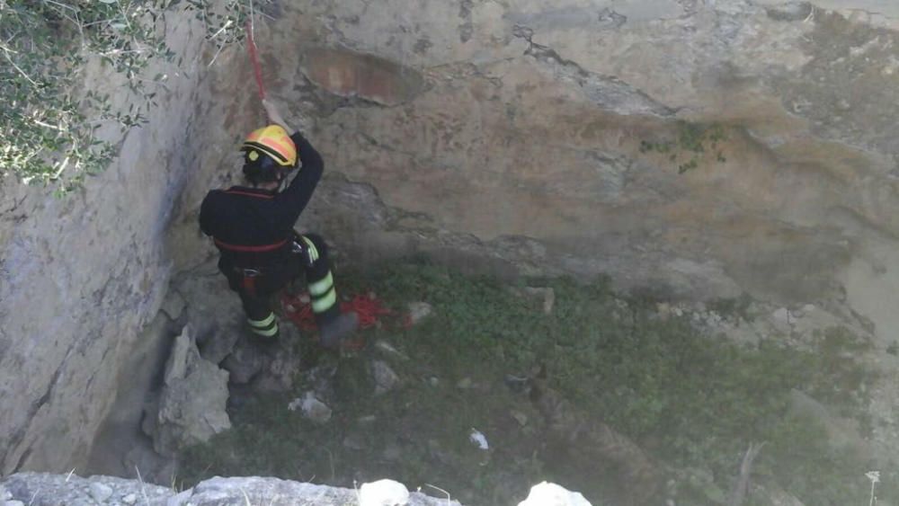 Los bomberos rescatan a un perro atrapado en un aljibe abandonado de Xàbia