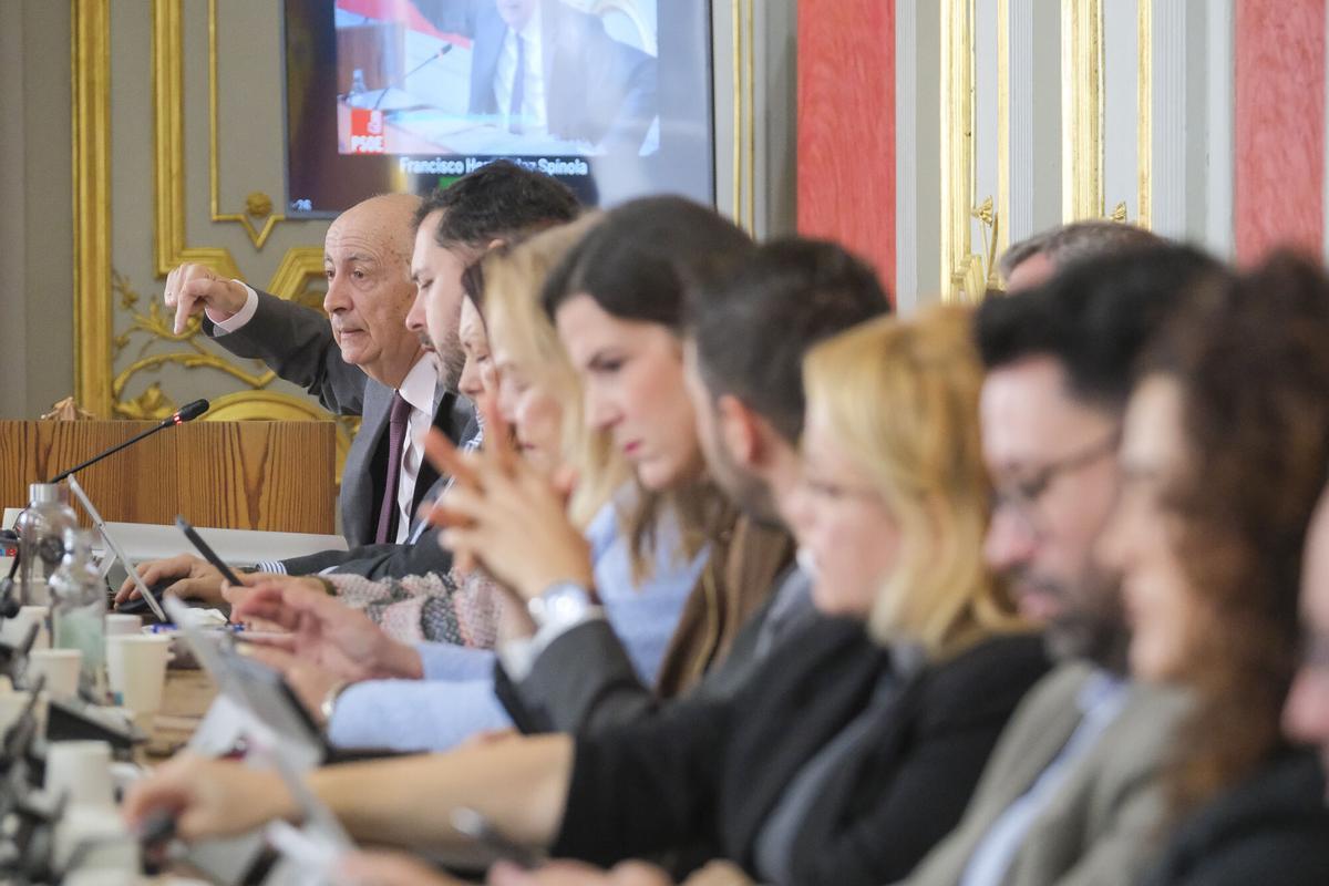 Pleno extraordinario del Ayuntamiento