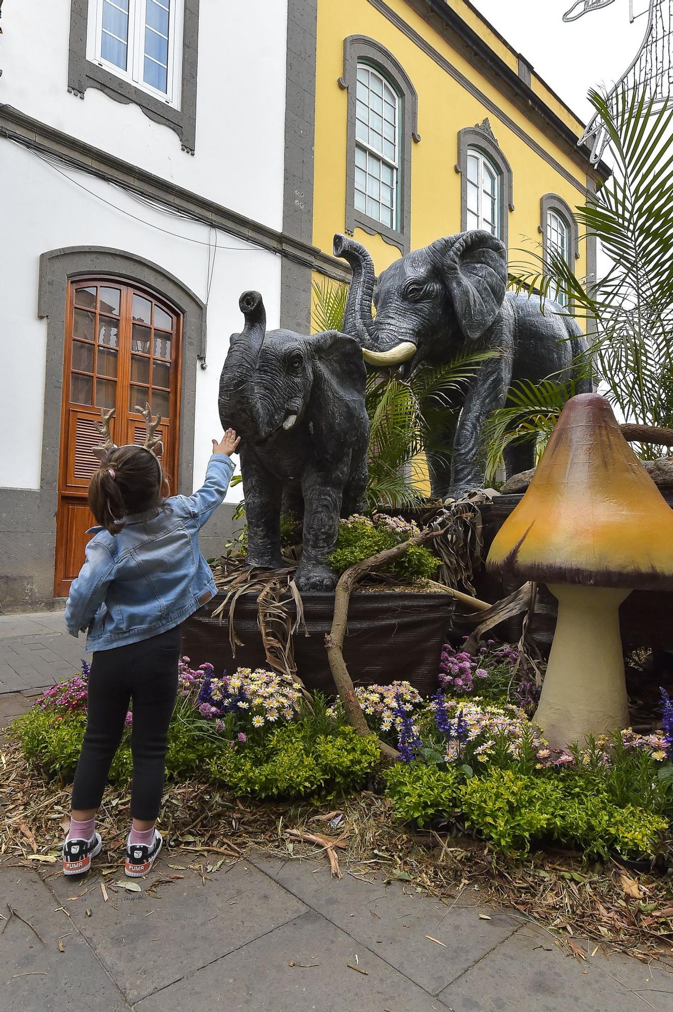 Arucas vive una semana dedicada a la música, la jardinería y la piedra de cantería