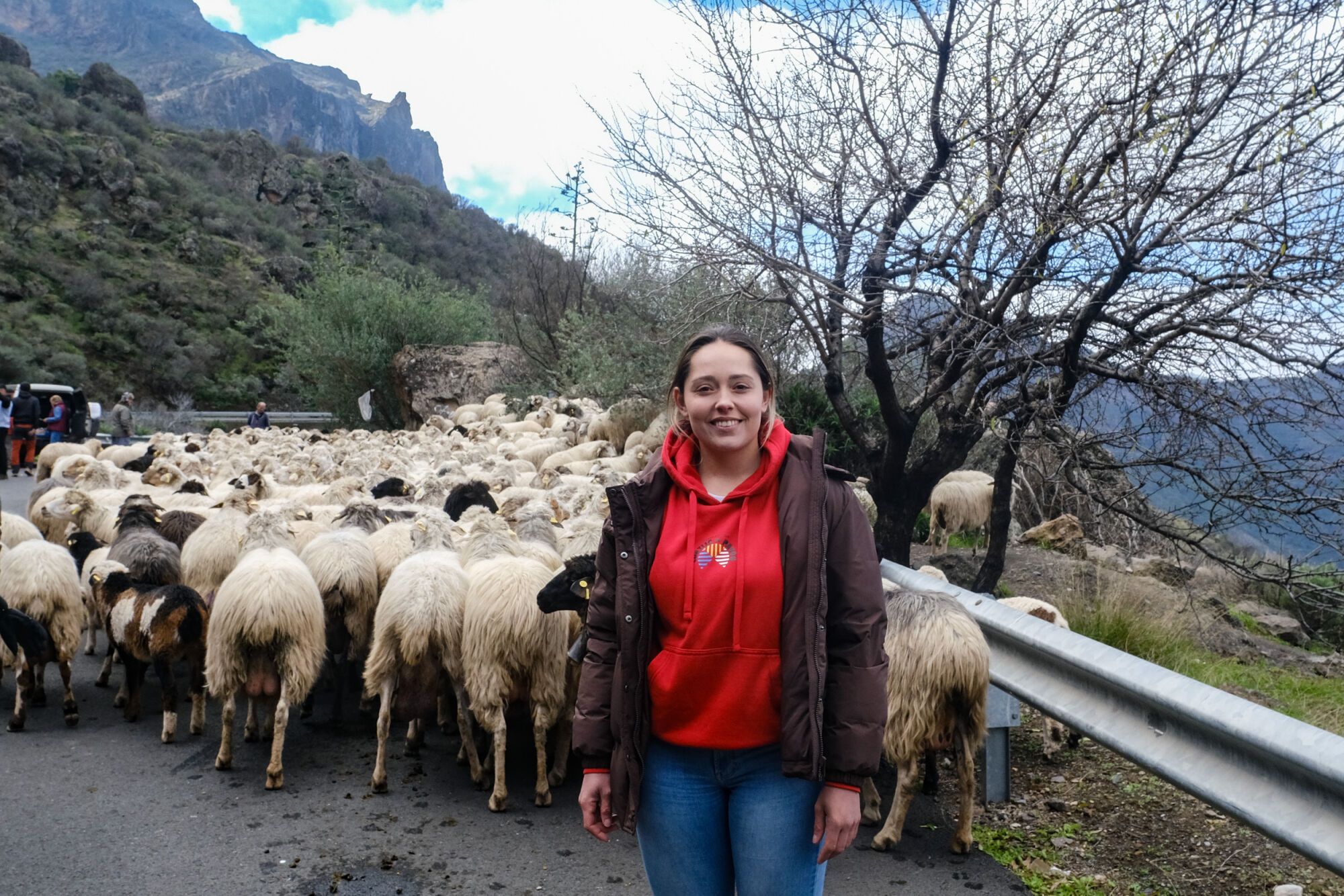 Transhumancia en Tejeda