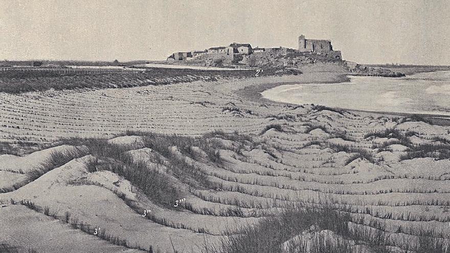 3 Plantació de borró per fixar la sorra a la platja del moll de Sant Martí d’Empúries (1903). |   