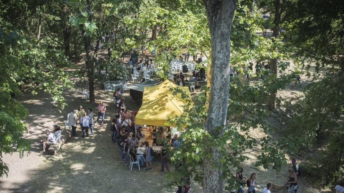 Carpes i ambient a tocar del riu, en una foto d'arxiu