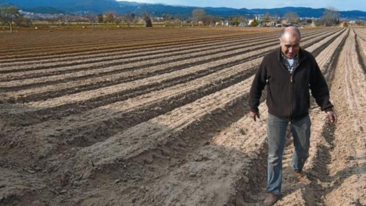 Miquel José, en su finca de Gavà, en uno de los posibles emplazamientos de Eurovegas, ayer.