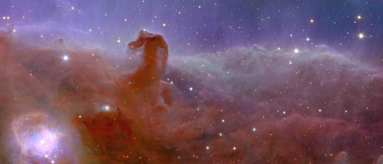 Una aproximación a la nebulosa Cabeza de Caballo, la elegida por el IAC, a través de los ojos de Euclid