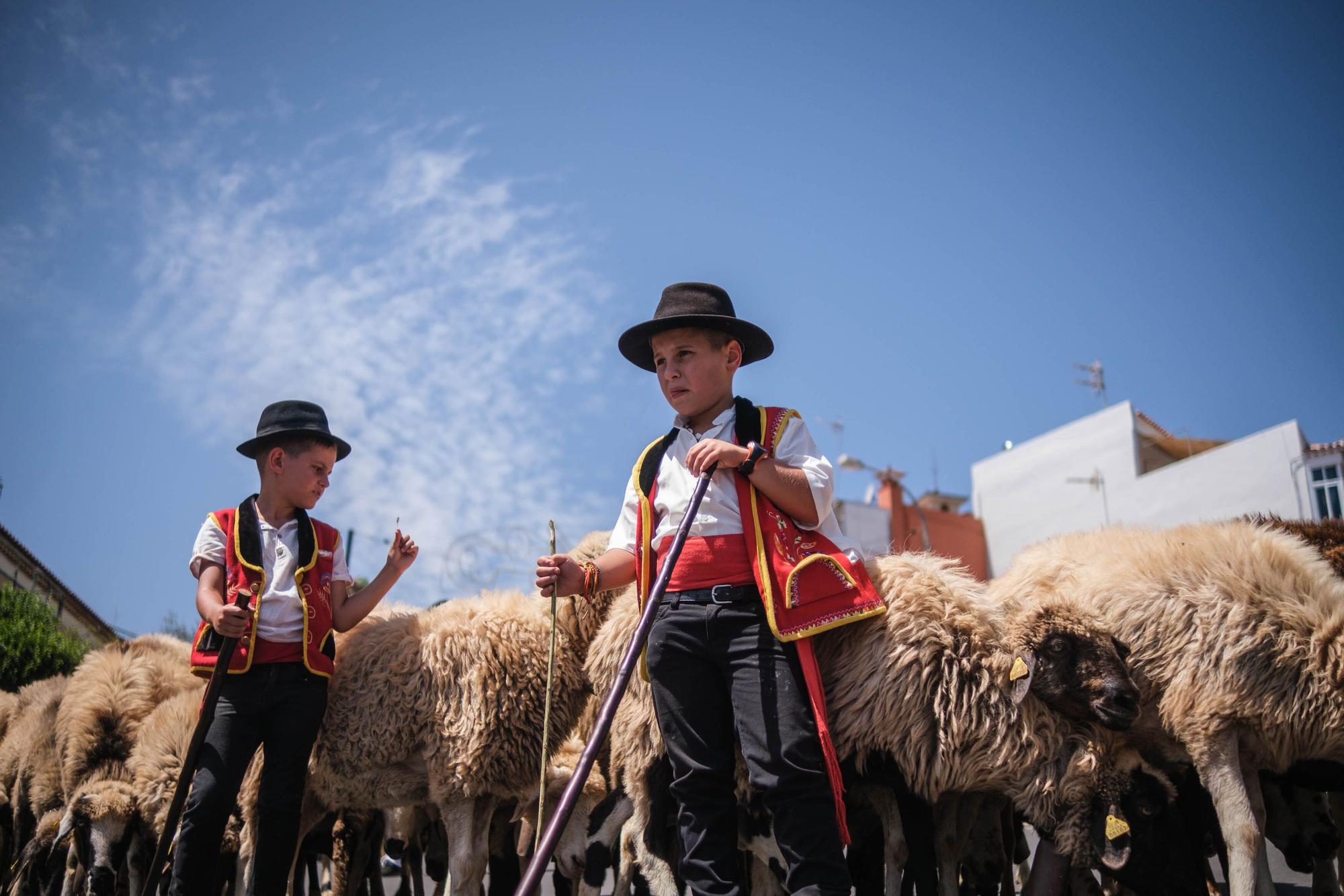 Romería de La Esperanza