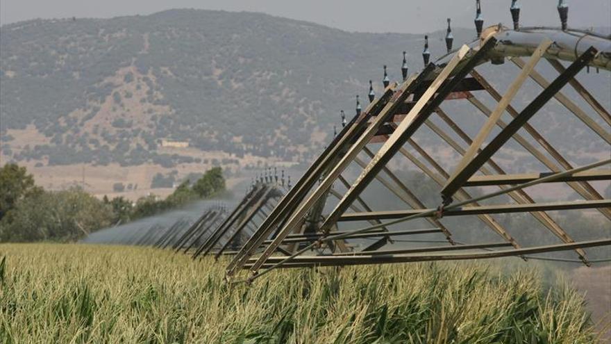 PSOE y PP se unen a los regantes y exigen el agua cedida a otras zonas