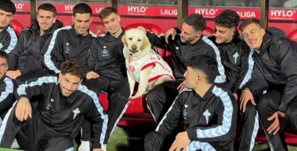 Los jugadores del Celta recibidos por la perrita Canya, la perfecta anfitriona del Girona.