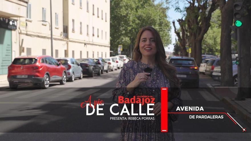 A pie de calle | Avenida de Pardaleras de Badajoz, comercio, paso y vida en pleno centro