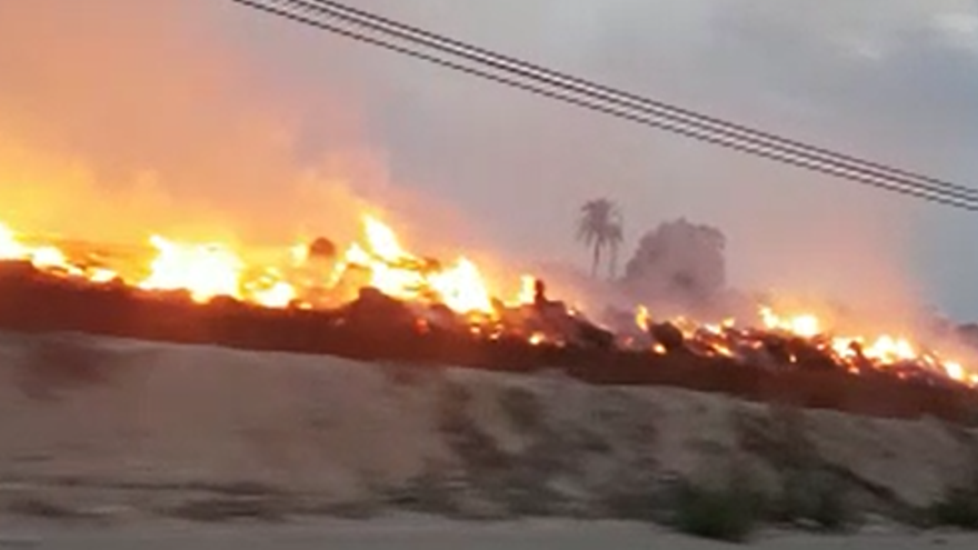 El fuego en un huerto de palmeras en la carretera del León, sofocado por los bomberos esta mañana