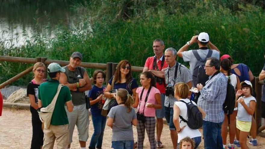 Domingos de «pico y pala» para reforestar el Clot de Galvany