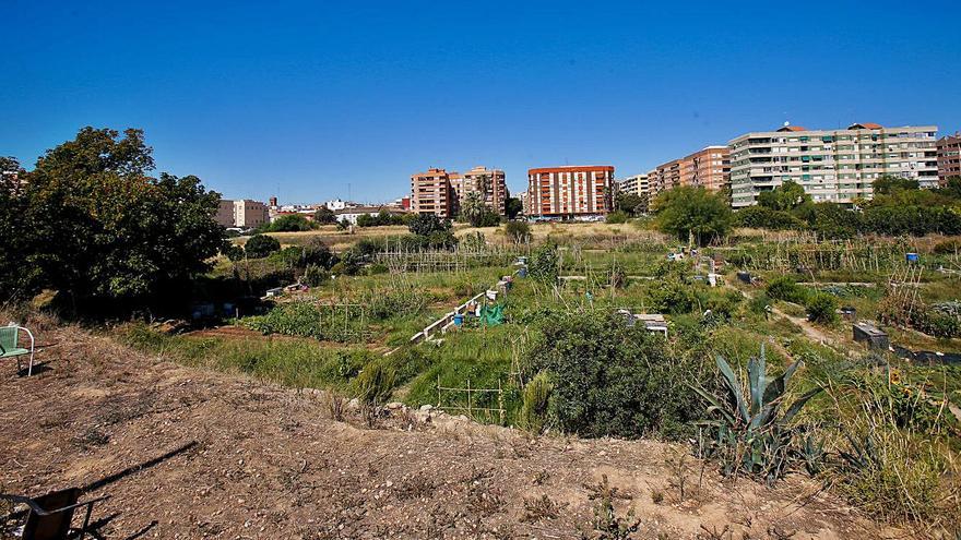 Terrenos del PAI de Benimaclet con algunos de los huertos urbanos. | EDUARDO RIPOLL