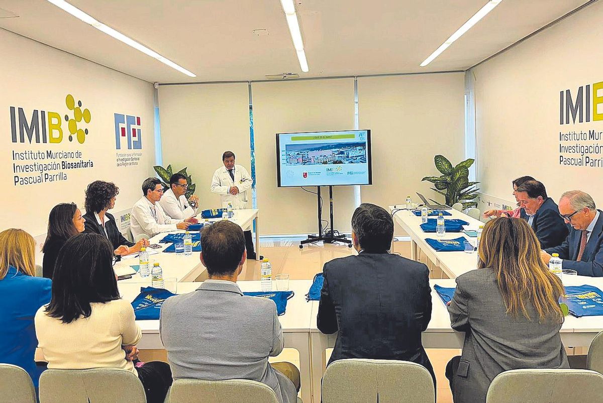 Reunión entre el equipo de IMIB FFIS y los representantes de Farmaindustria