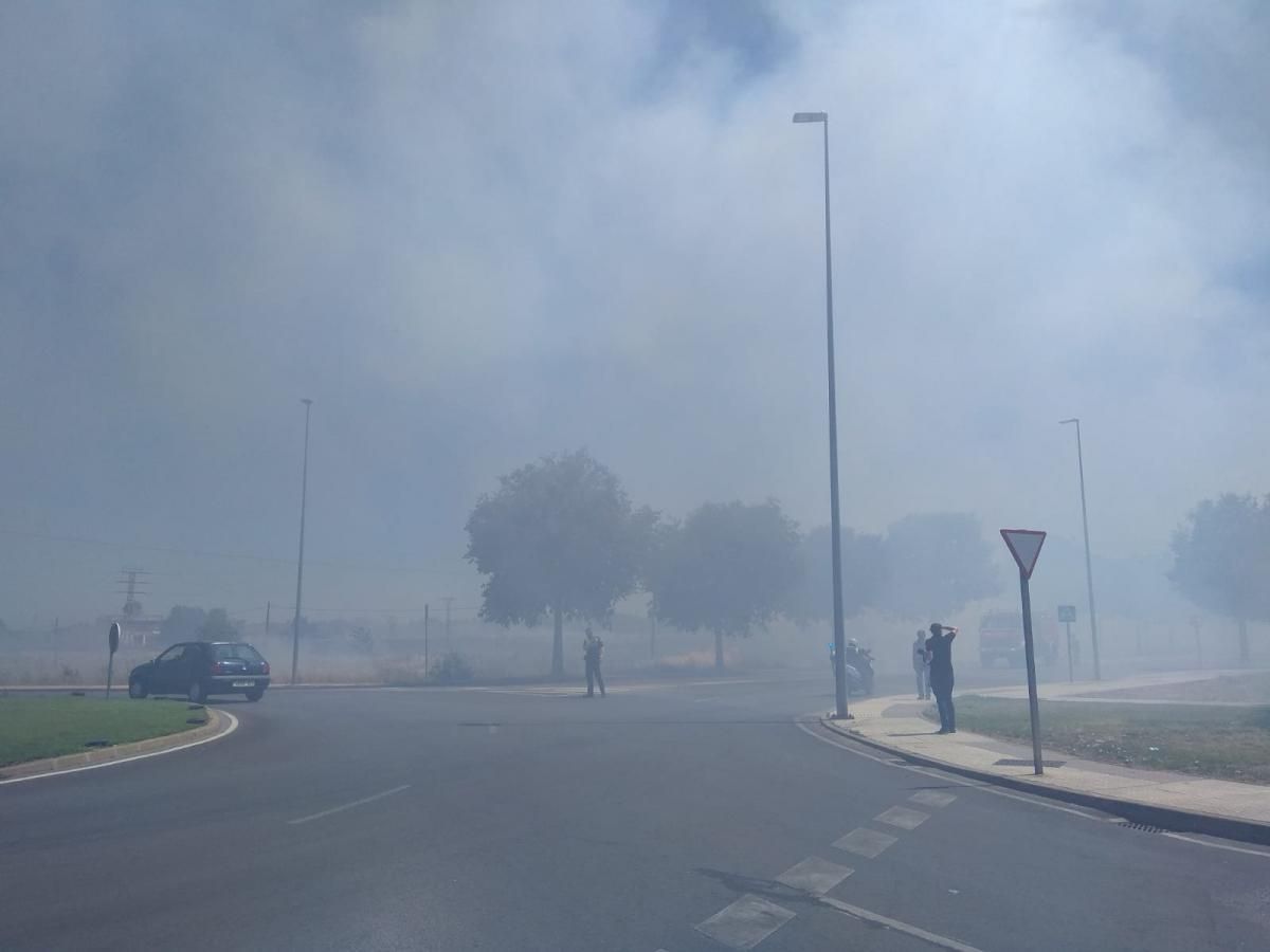 Incendio de pastos en la Ronda Norte de Badajoz