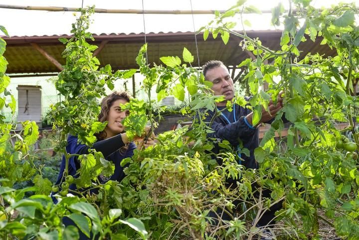 Visita escolar a la Granja Agricola del Cabildo