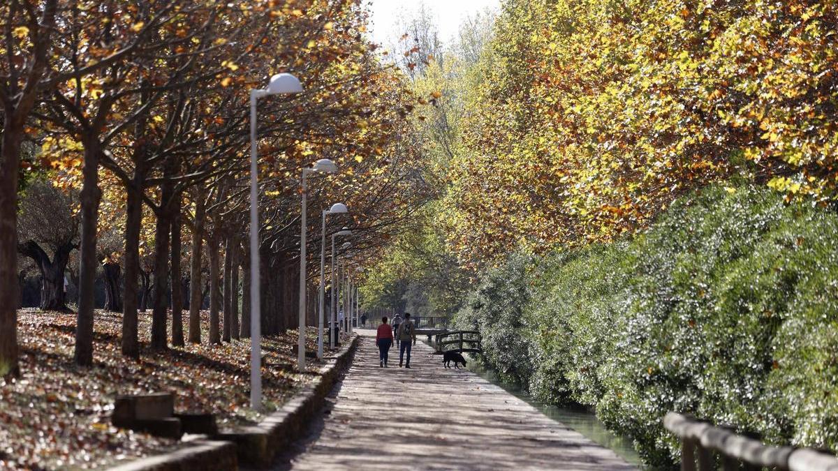 Langevin's captivating force