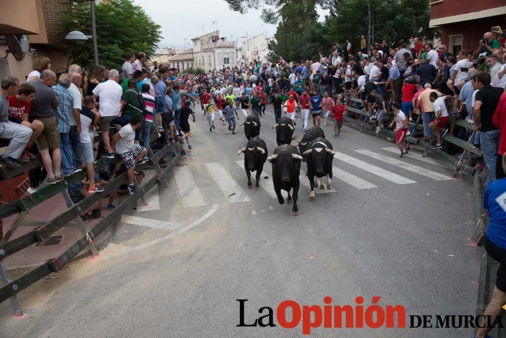 Primer encierro en Calasparra