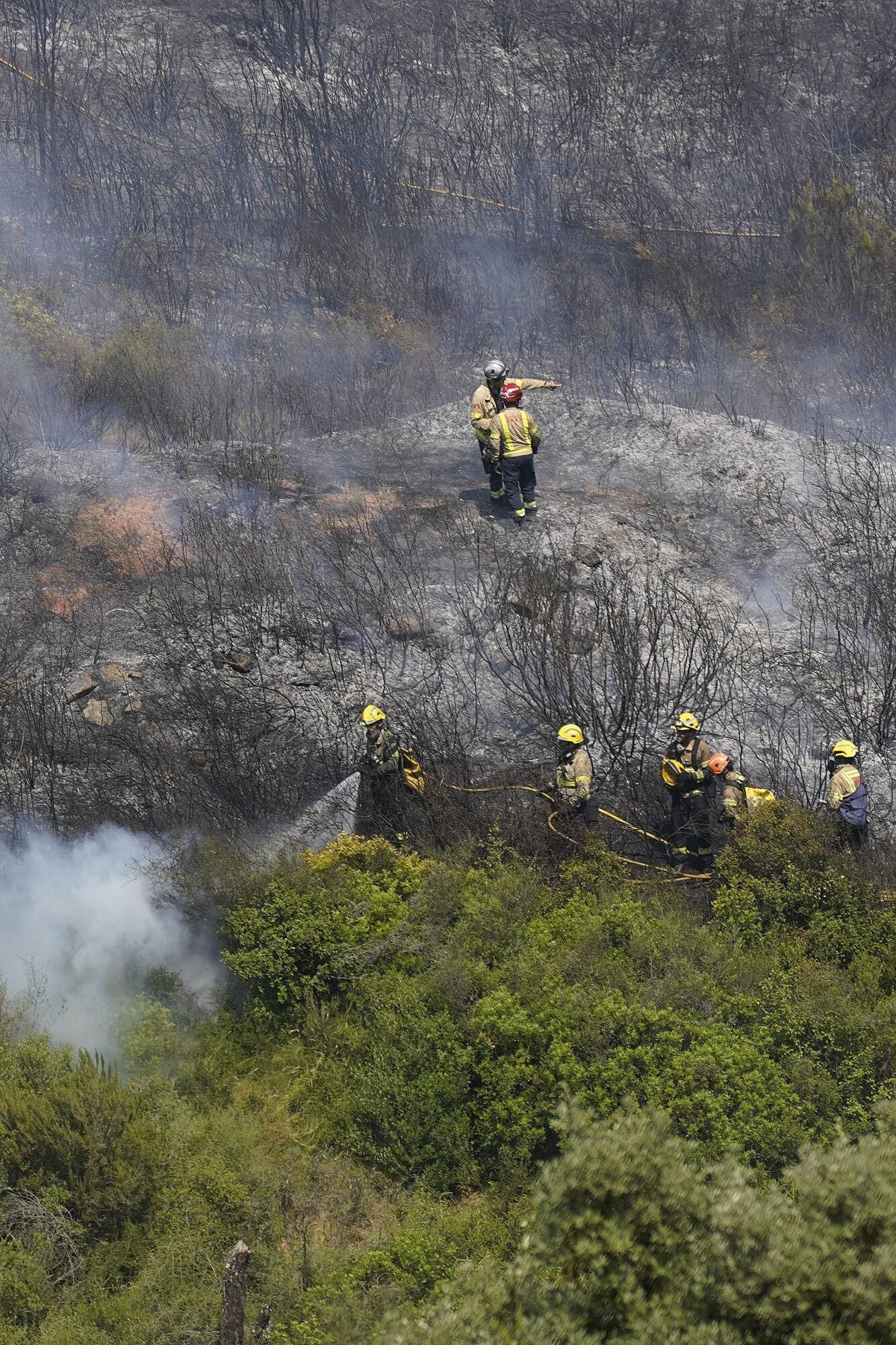 Girona zona boscosa font de la pólvora sant Daniel incendi forestal