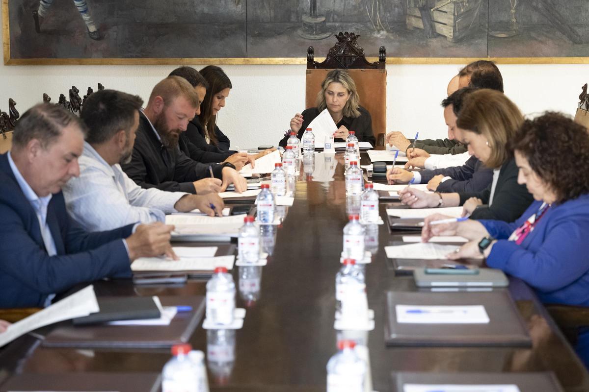 La presidenta, Marta Barrachina, al frente de la Junta de Gobierno.