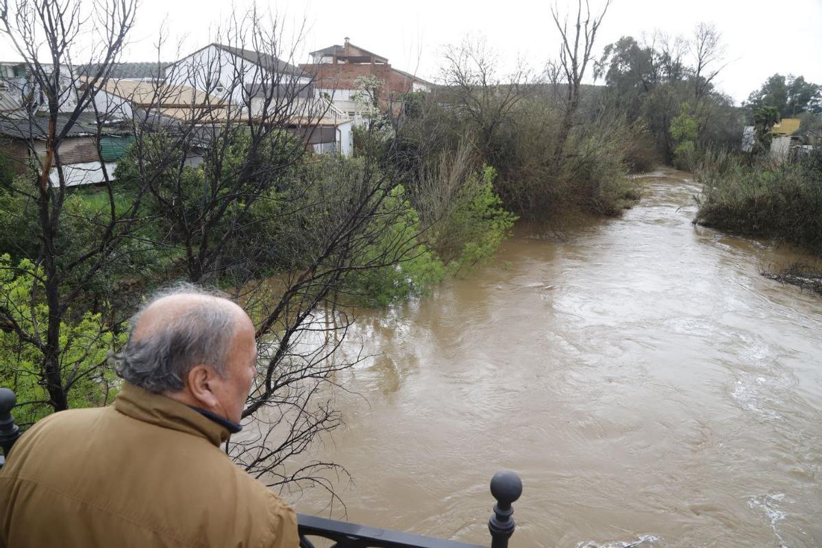 Estado del río Guadalquivir a su paso por Alcolea.