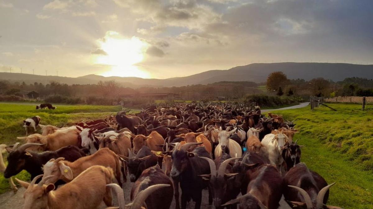 ¿Qué hacer en las comarcas? | FOTO: MIGUEL MEDELA