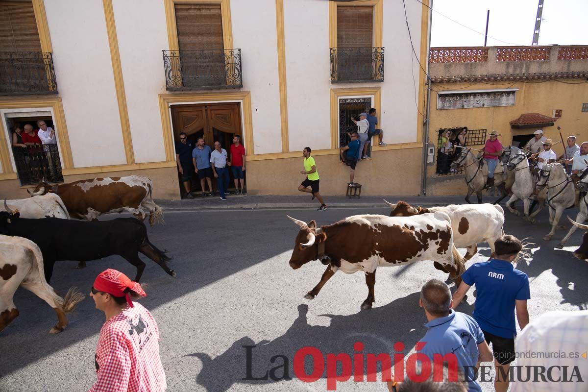 Quinto encierro Moratalla