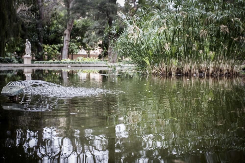 Jardín de Monforte en València