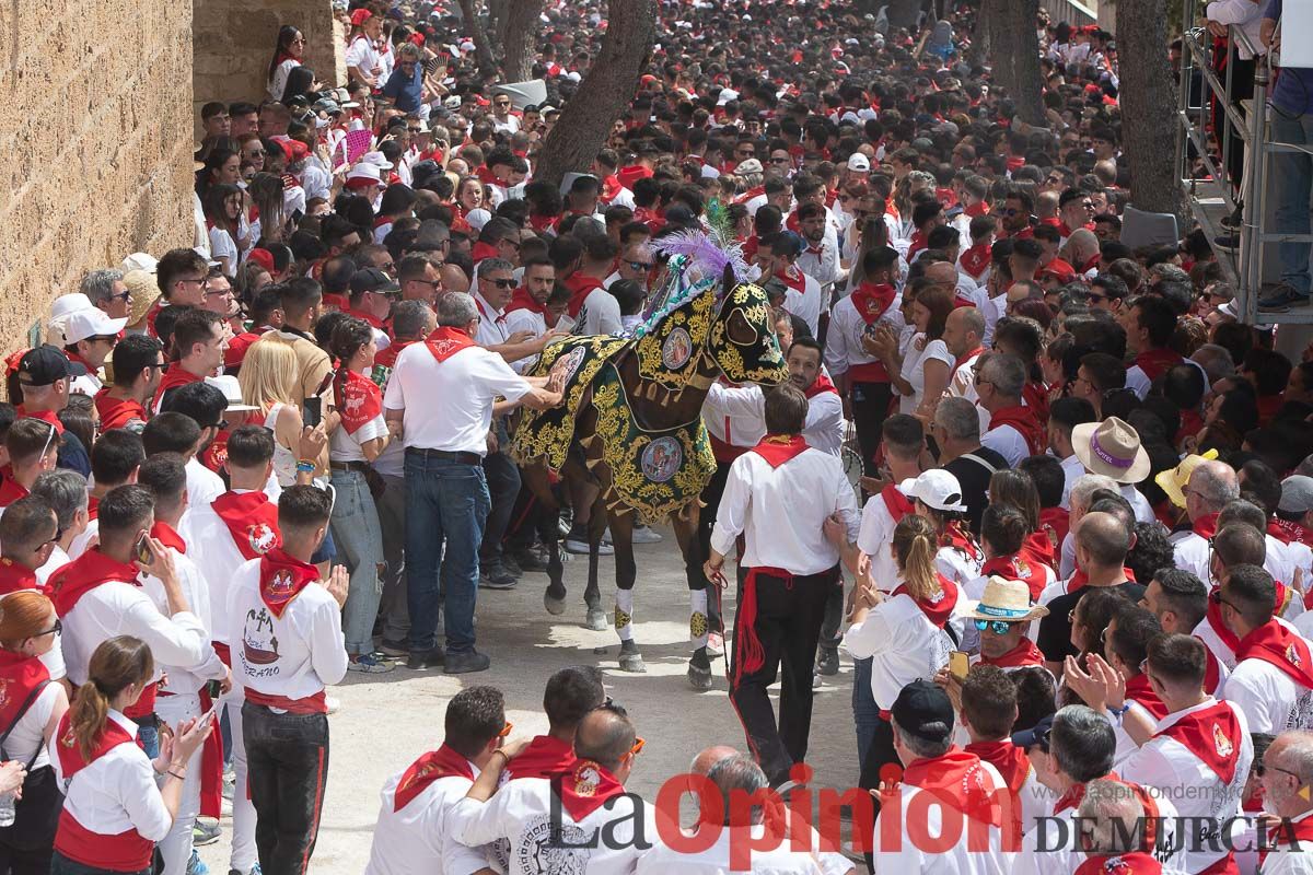 Así ha sido la carrera de los Caballos del Vino en Caravaca