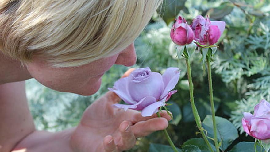 woman person smell scent of roses thumbnail