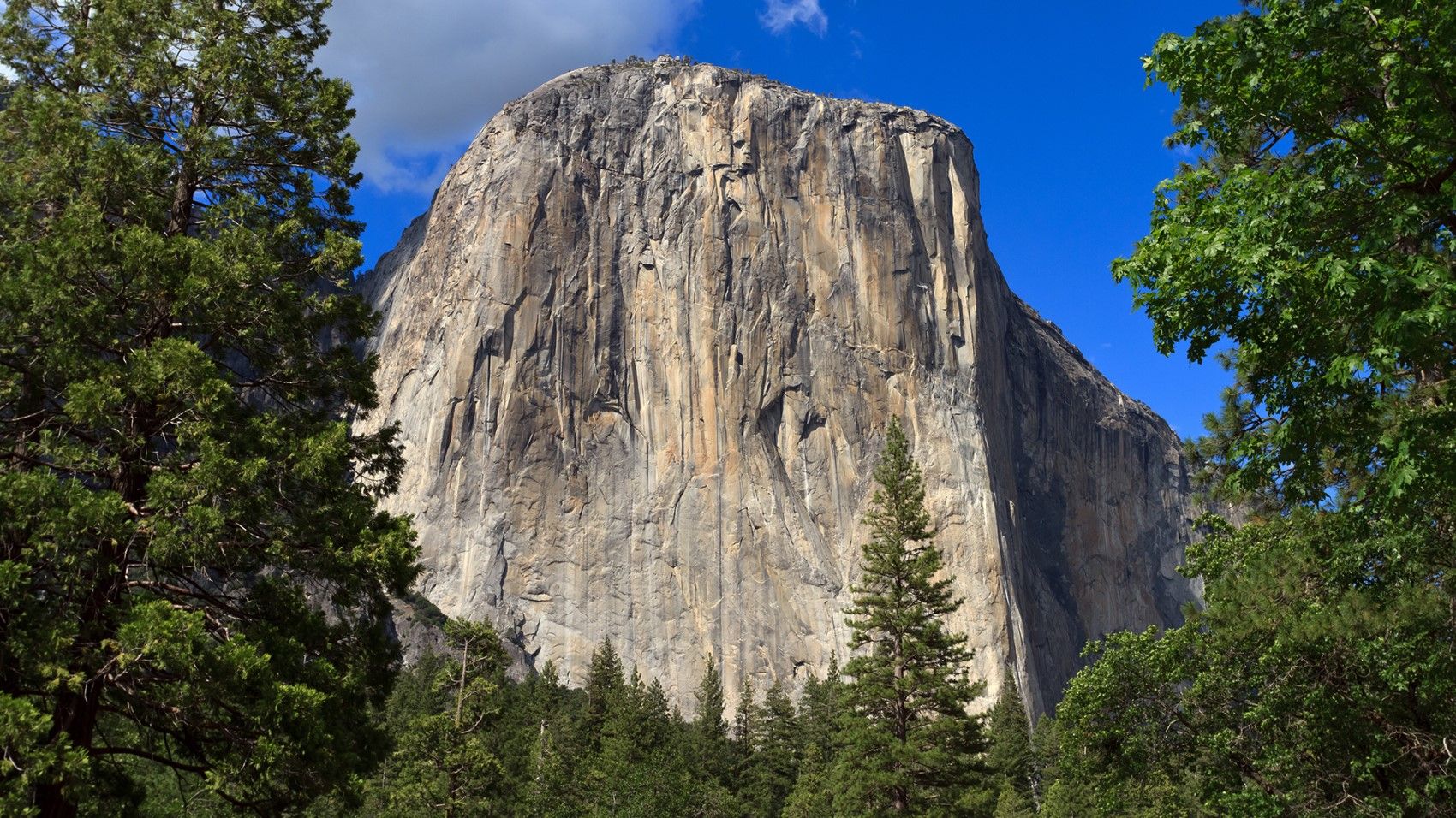 El Capità, Yosemite - Shutterstock