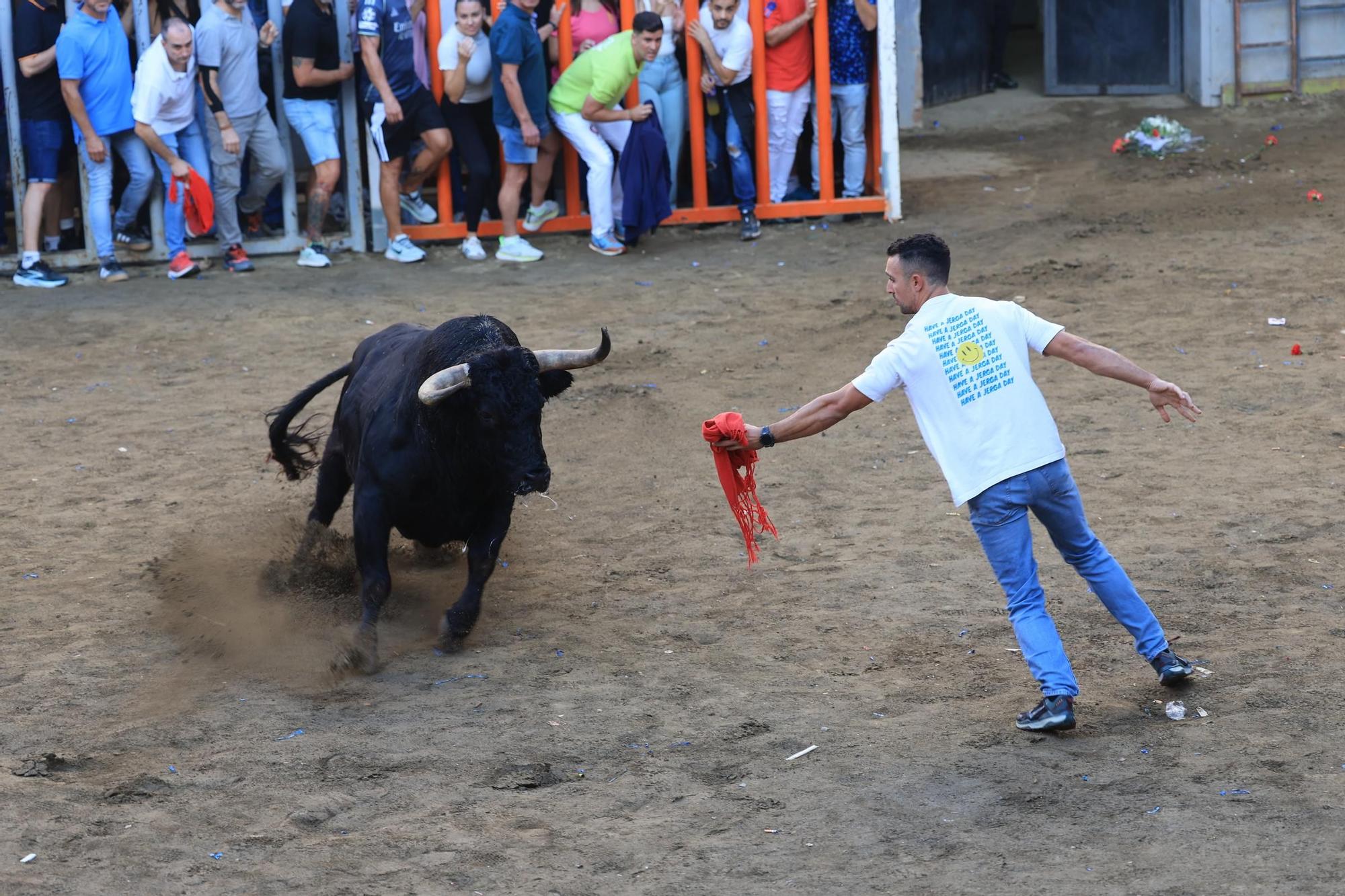 Las imágenes del primer encierro y de las exhibiciones taurinas de las fiestas de Almassora