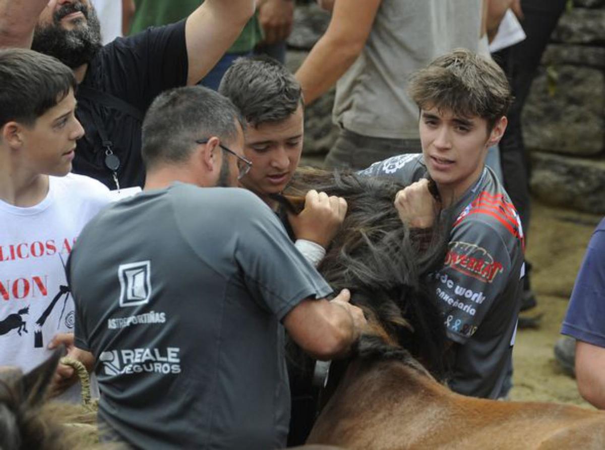 Unha canteira que pisa forte