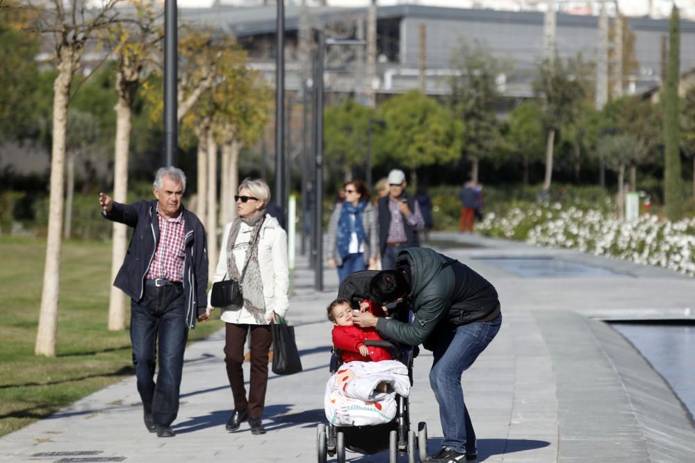 Abre el Parc Central de València