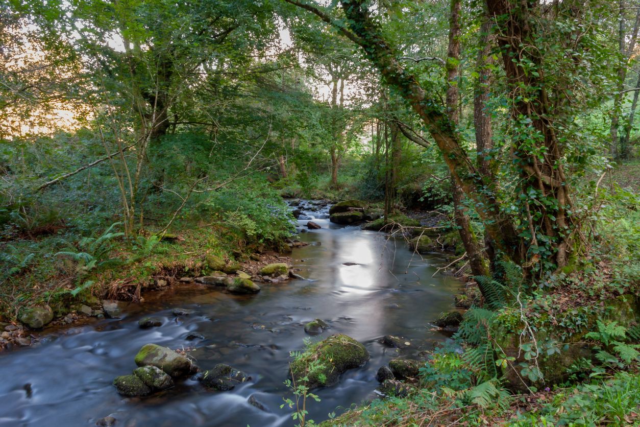 La temporada de otoño, cuando el caudal del río es más abundante, es la mejor época para hacer este recorrido