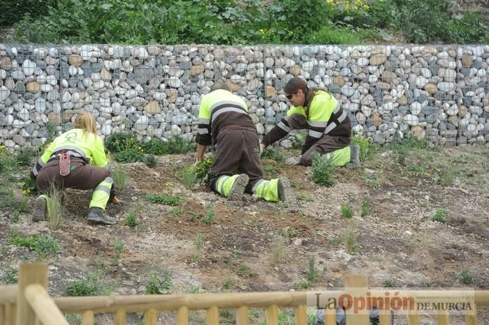 Alameda del Malecón: el entorno urbano del Segura estrena nuevo espacio verde