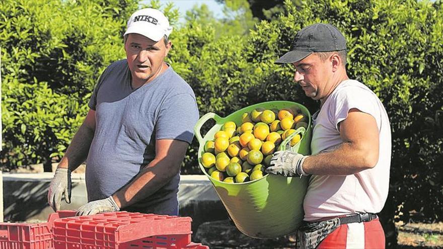 La afiliación extranjera toca techo y llega a su nivel máximo en diez años