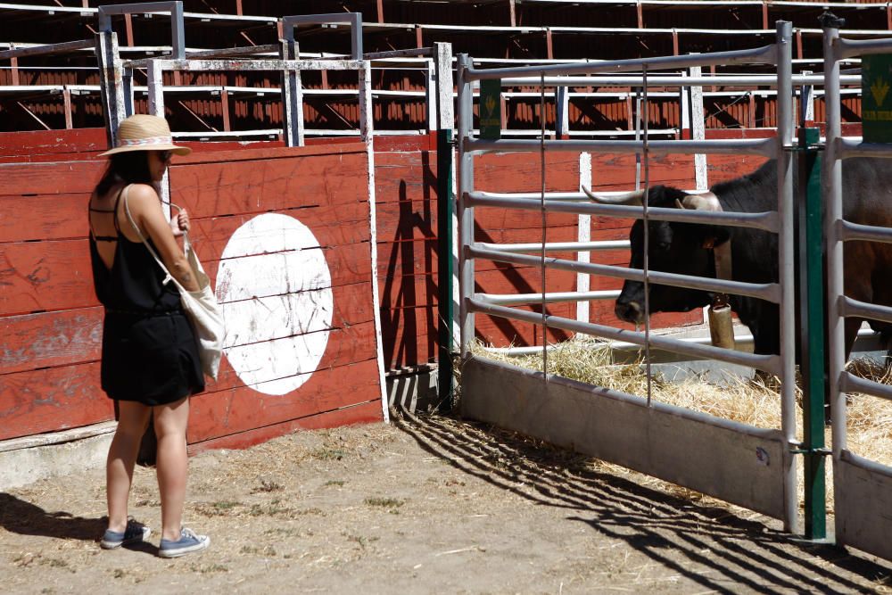 Feria agroalimentaria de Fermoselle