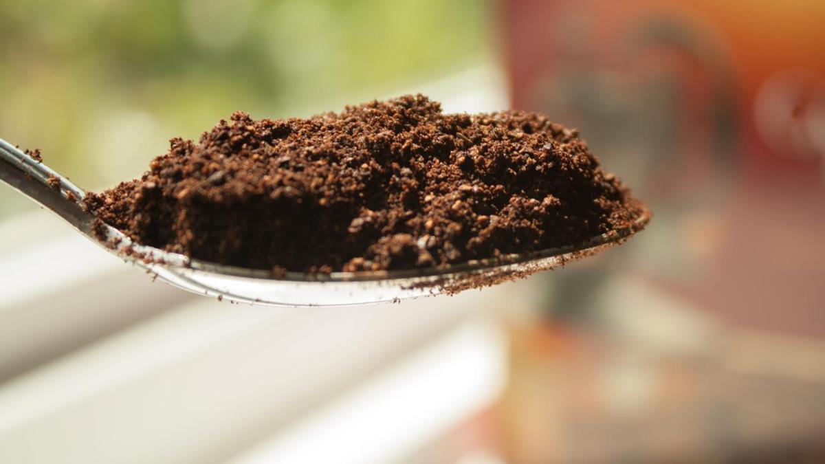 ALFOMBRAS | Espolvorea café en tu alfombra: el truco que te salvará de un grave problema frecuente