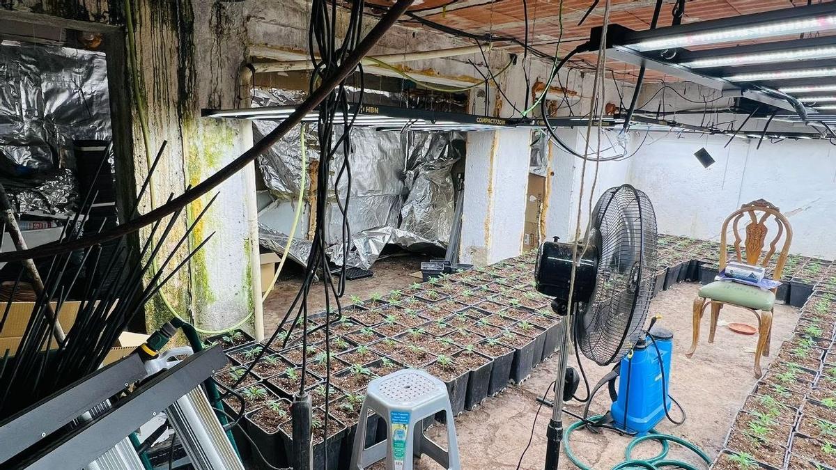 La plantació de marihuana desmantellada a Manresa