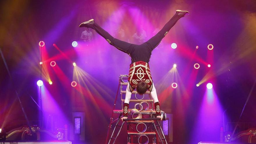 Vídeo: Aquests són els guanyadors de la catorzena edició del Festival del Circ l'Elefant d'Or de Girona