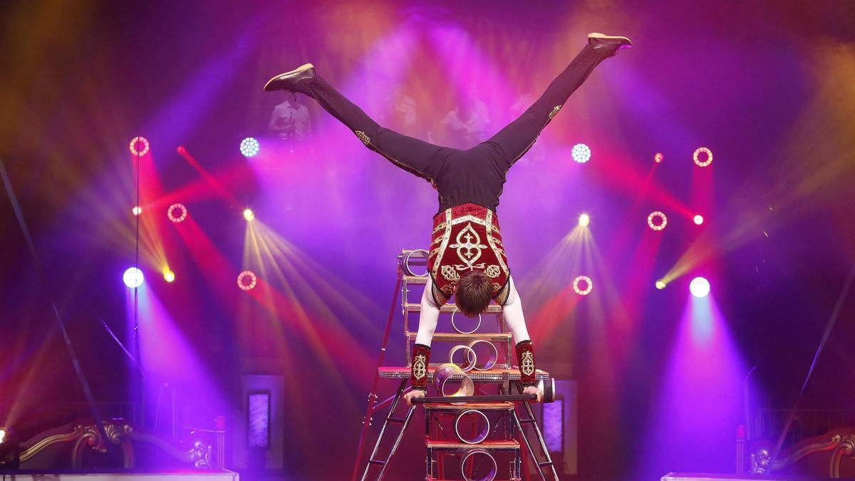 Vídeo: Aquests són els guanyadors de la catorzena edició del Festival del Circ l'Elefant d'Or de Girona