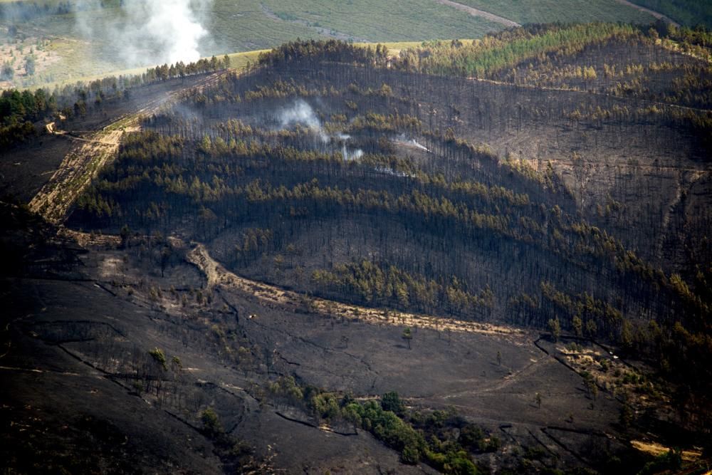 Las llamas arrasan cientos de hectáreas del monte de A Gudiña. // B. Lorenzo (EFE)