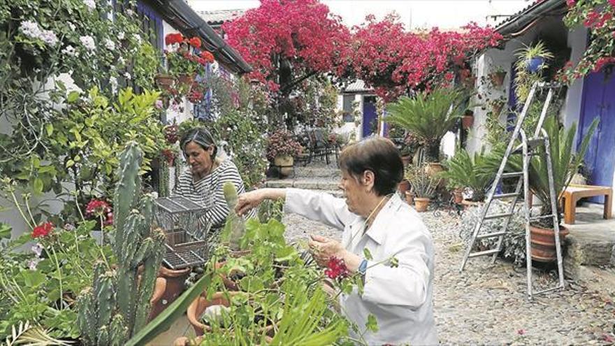 Córdoba toma medidas para evitar aglomeraciones en los patios