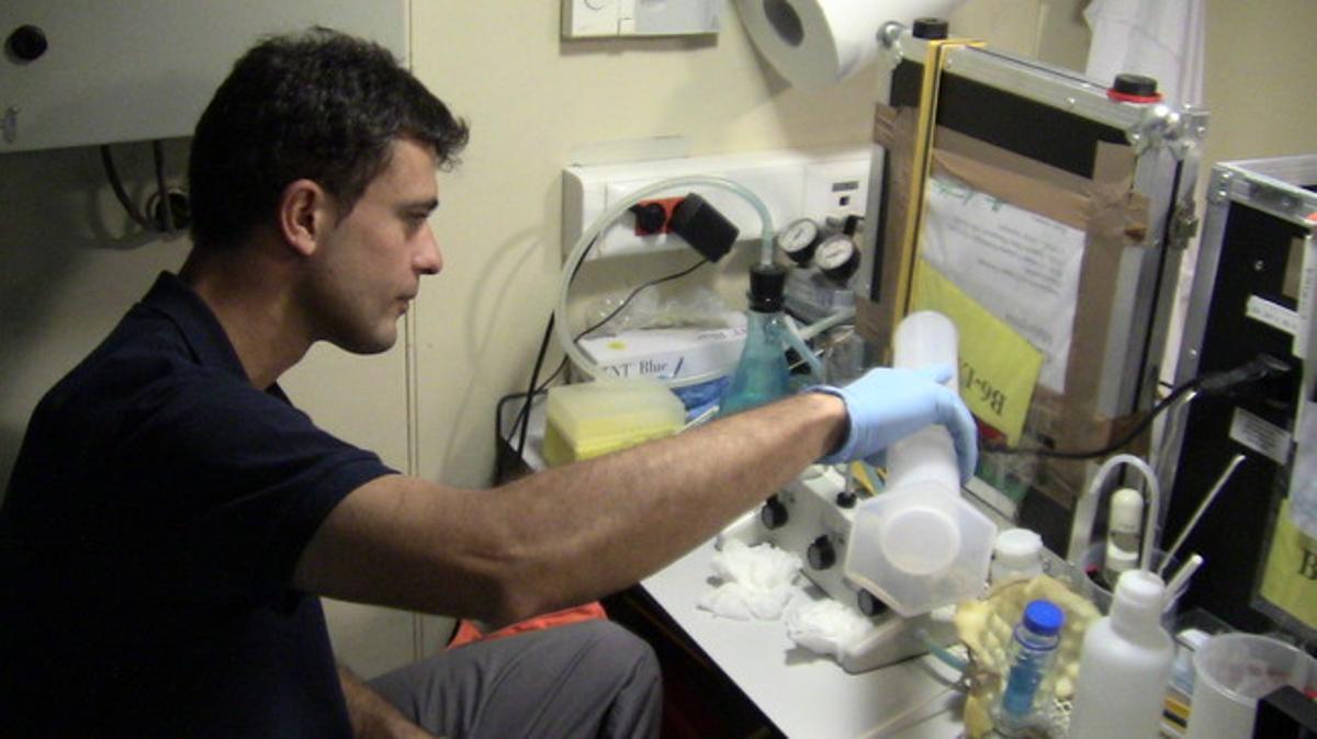 El biòleg granadí Ignacio Pérez Mazueco, de 30 anys, manipula mostres per a un estudi de microbiologia en un laboratori de l’’Hespérides’. El biòleg granadí Ignacio Pérez Mazueco, de 30 anys, manipula mostres per a un estudi de microbiologia en un laboratori de l’’Hespérides’.