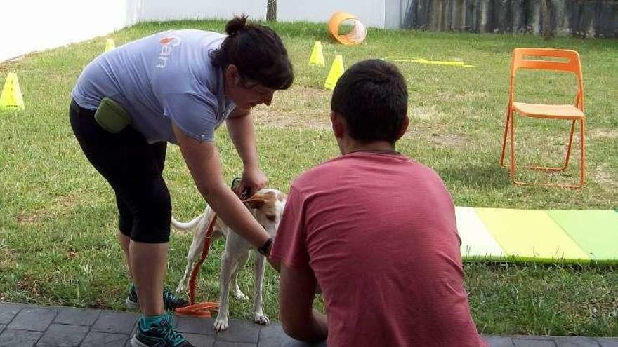 La Fundación Barrié promueve la terapia con animales para menores en riesgo social