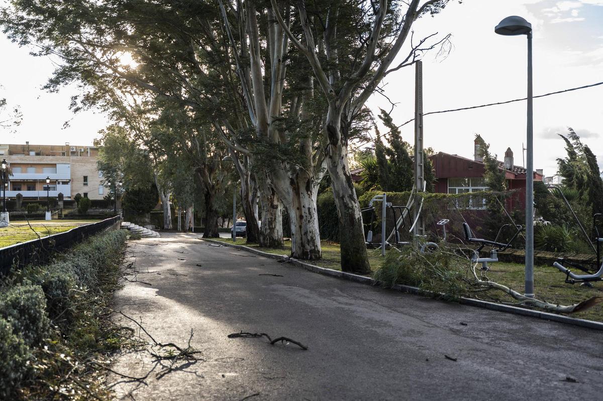 Fotogalería | El temporal en Cáceres, más imágenes
