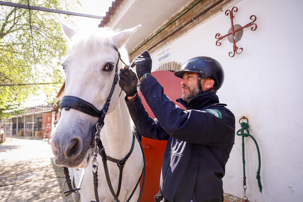 La unidad de caballería de la Policía Local de Córdoba cumple 150 años La unidad de caballería de la Policía Local de Córdoba cumple 150 años