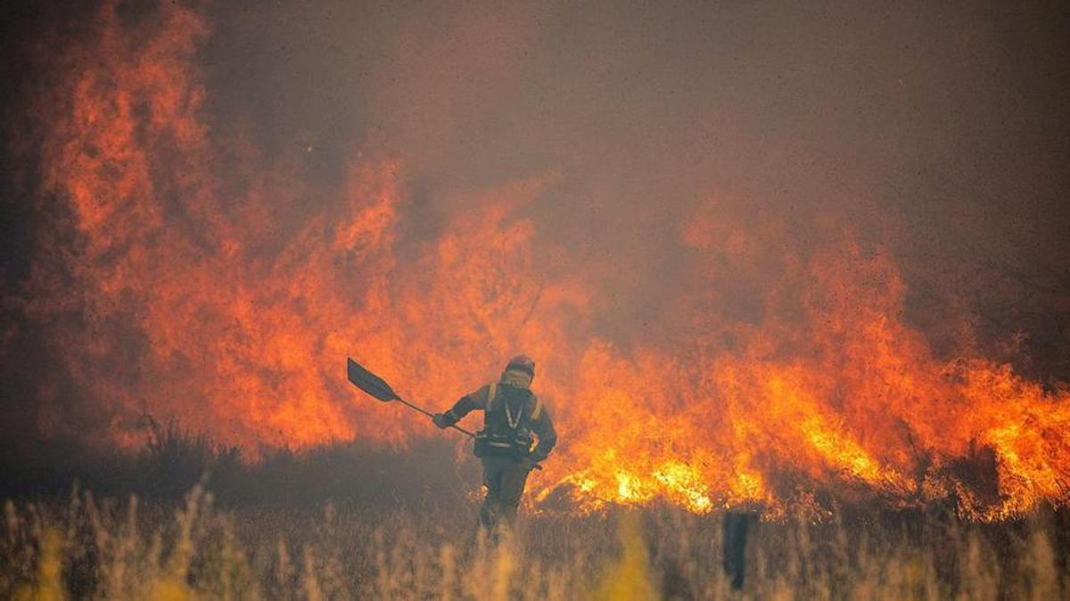 Eran cofrades sevillanos encendiendo incienso!: Bomberos acudió a un falso  aviso de incendio