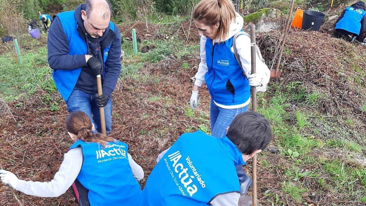 Voluntarios trabajando en la reforestación del Monte Coruxo